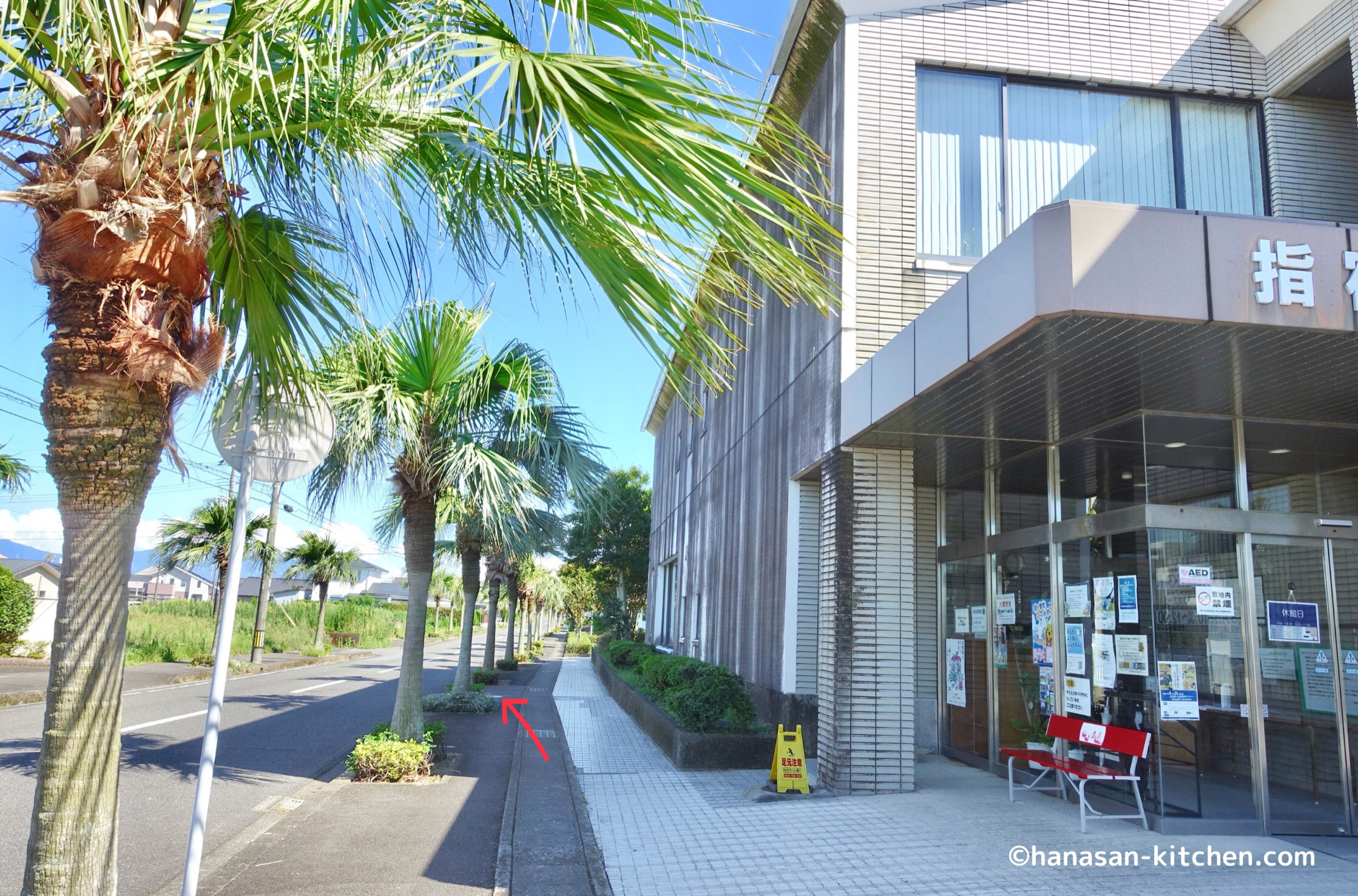 指宿市立図書館横の道