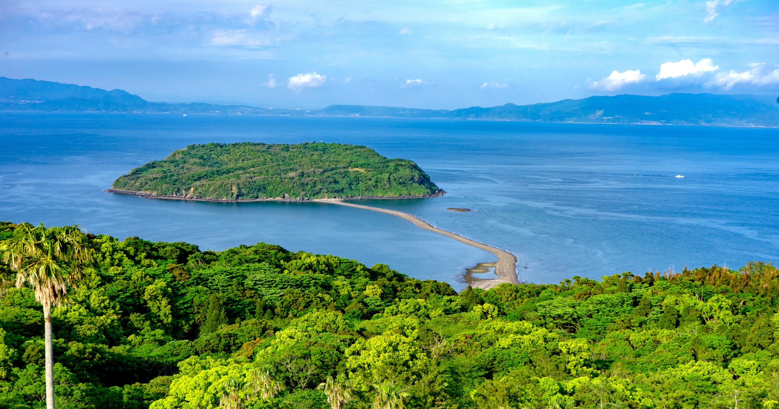 知林ヶ島