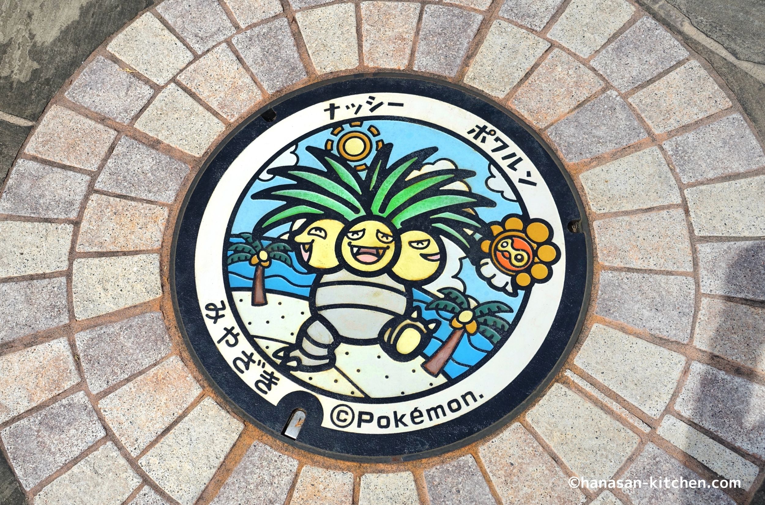 宮崎市のポケふた