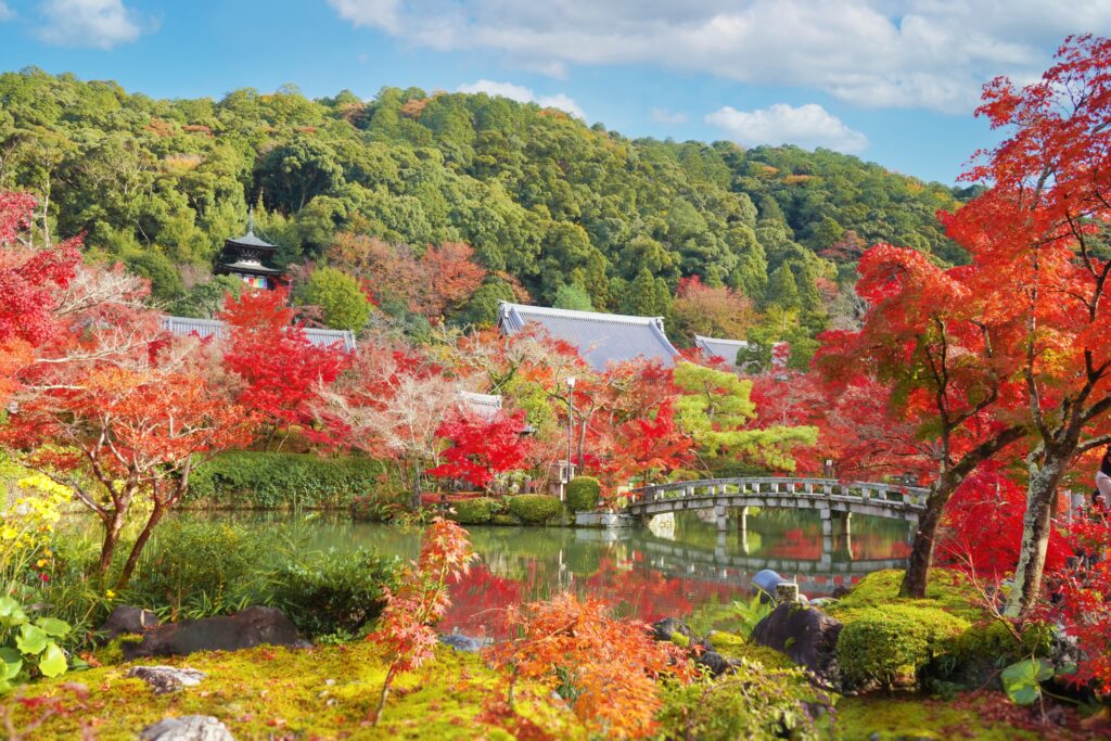 京都の紅葉