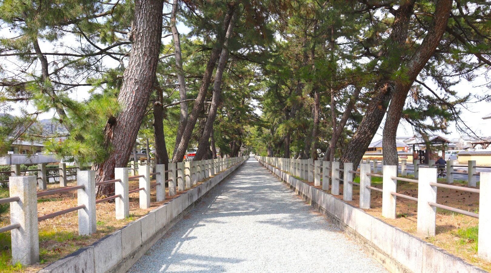 法隆寺に向かう道