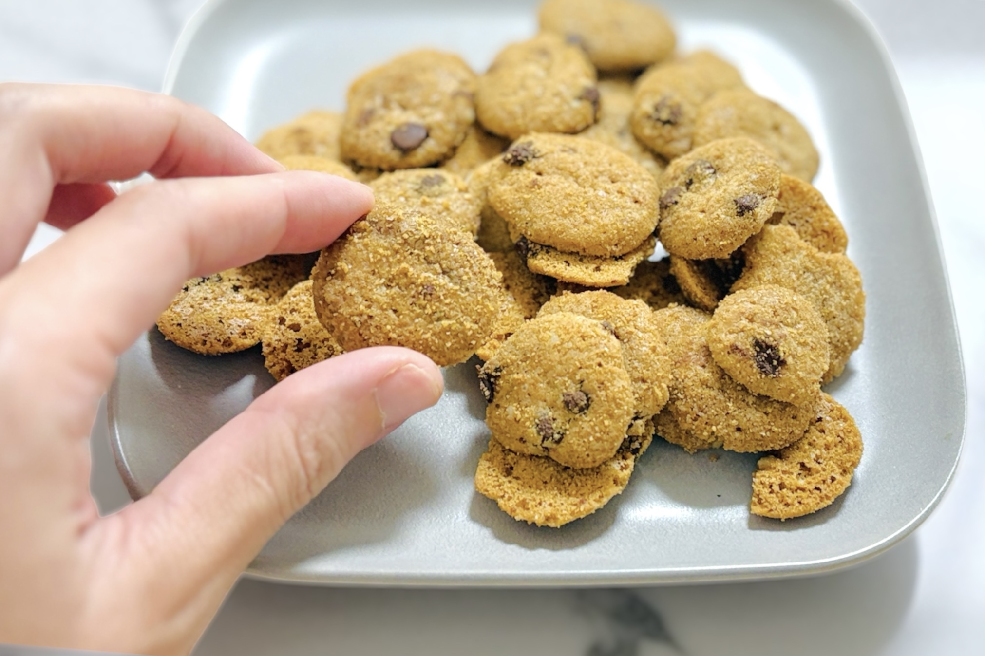 チャモロクッキーを持った様子