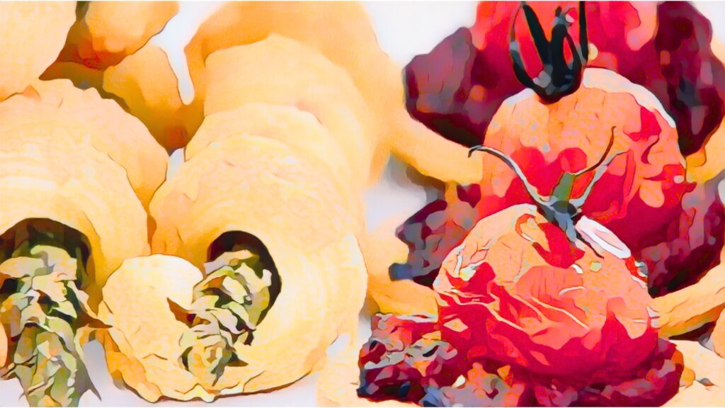 ルースのセイボリーパイ