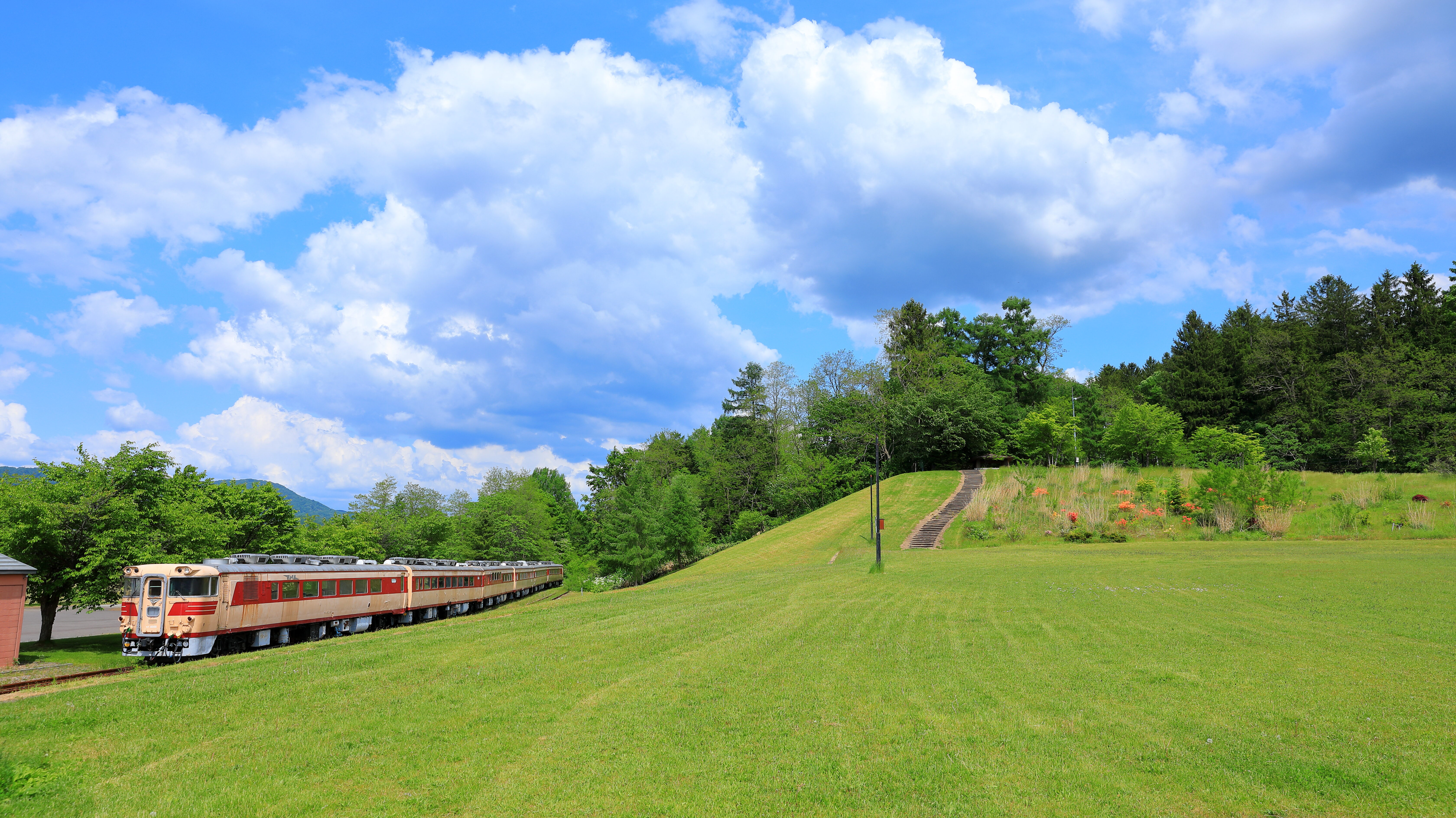 クロフォード公園の広場