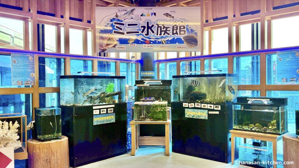 館内のミニ水族館