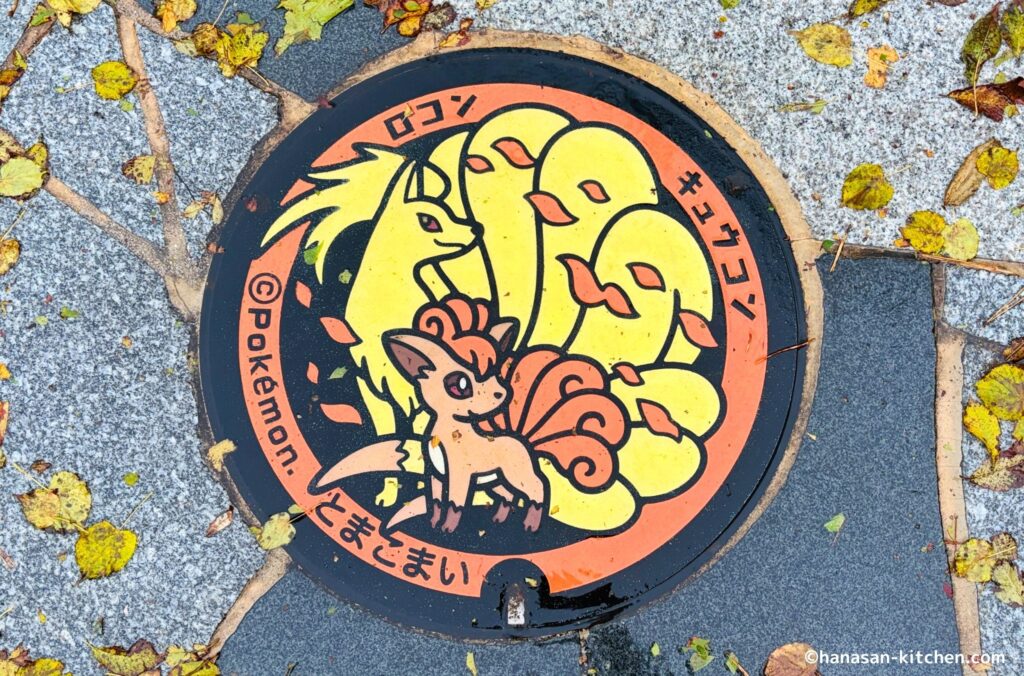 苫小牧市のポケふた