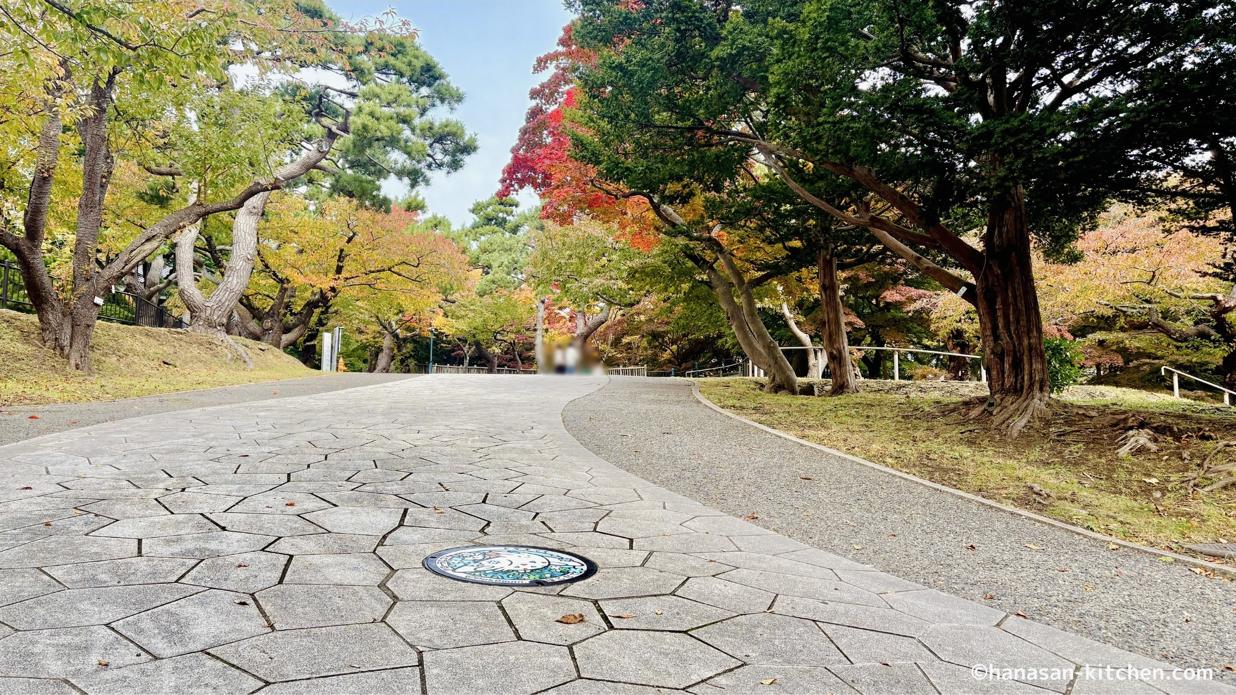 函館公園のポケふた