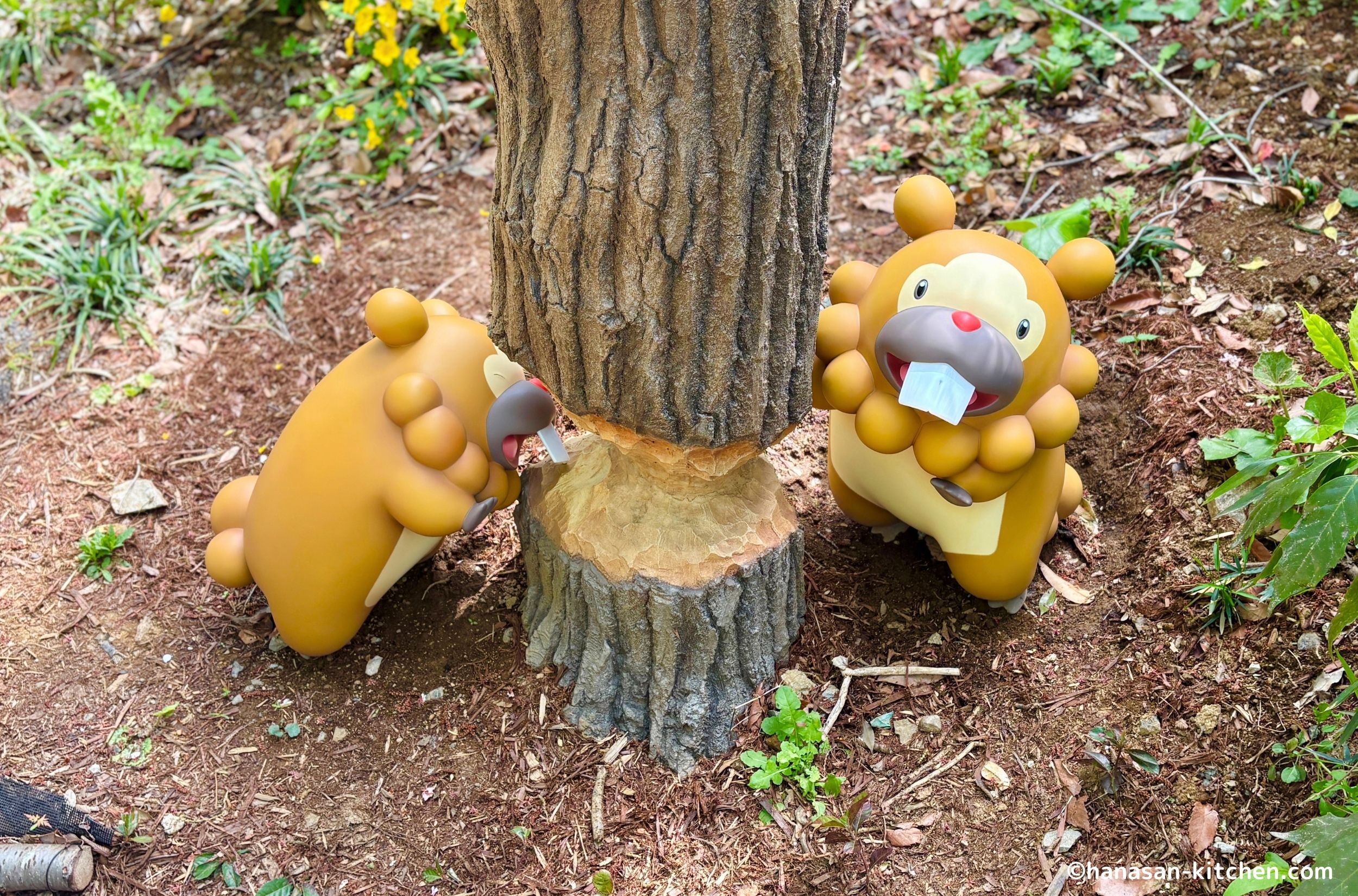 ポケモンフォレストのビッパ