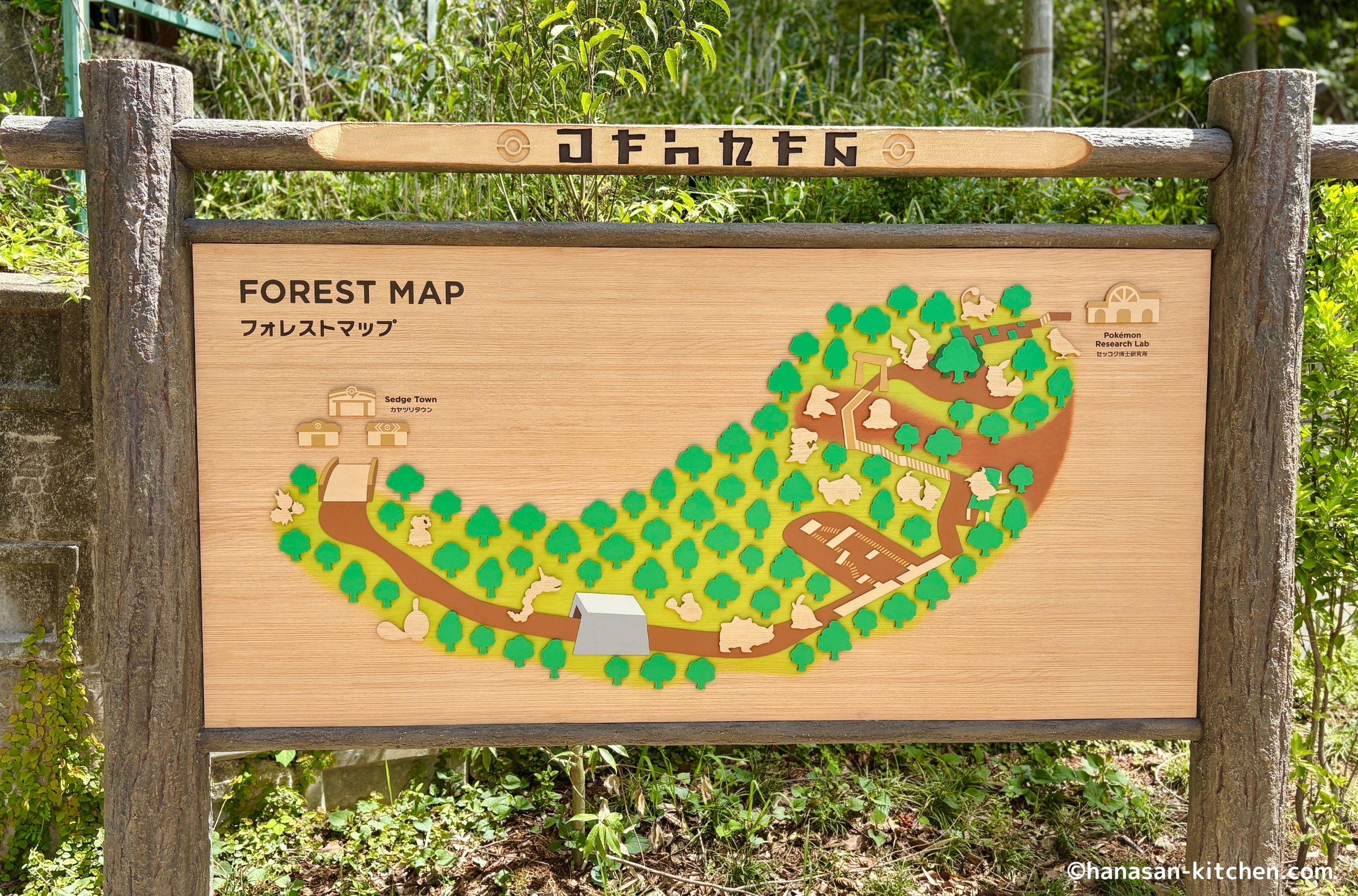 ポケモンフォレストマップ