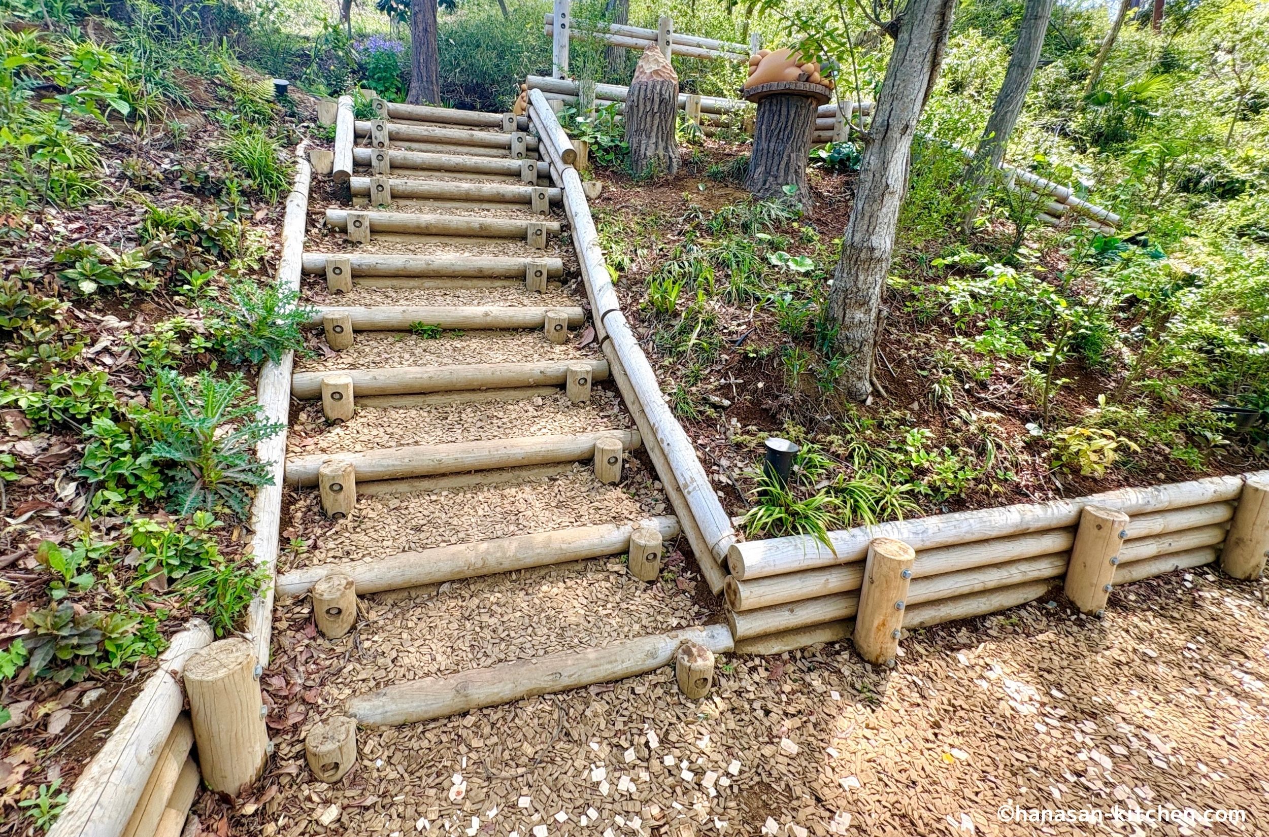 フォレスト内の通路