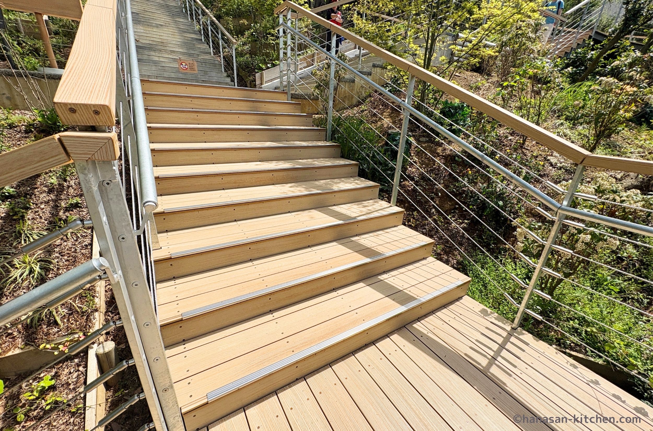 フォレスト内の階段