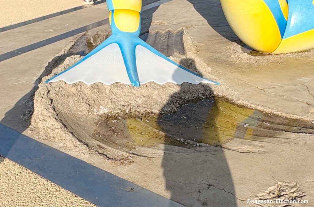 ギャラドスのヒレ