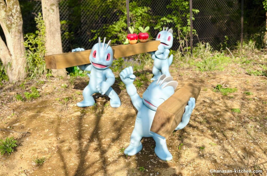 ワンリキーとカジッチュ