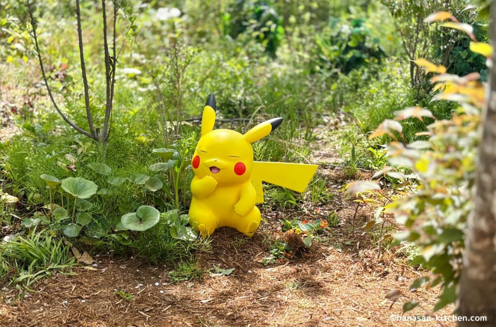 笑うピカチュウ