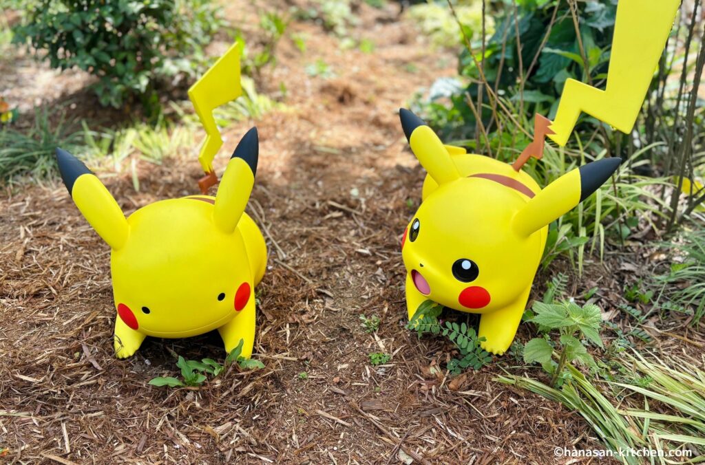 ピカチュウとメタモンピカチュウ