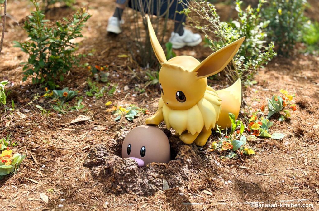 イーブイとディグダ