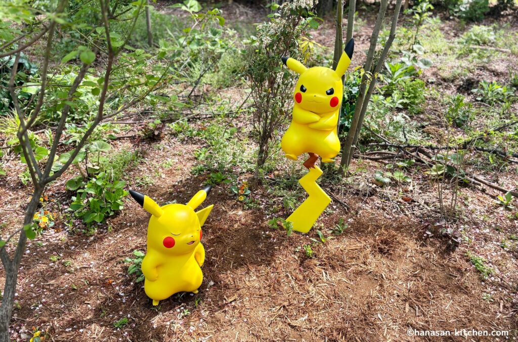 キャプテンピカチュウ