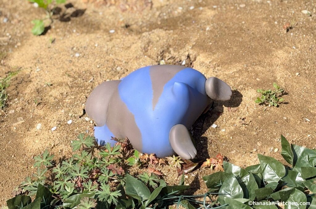 モグリューのおしり