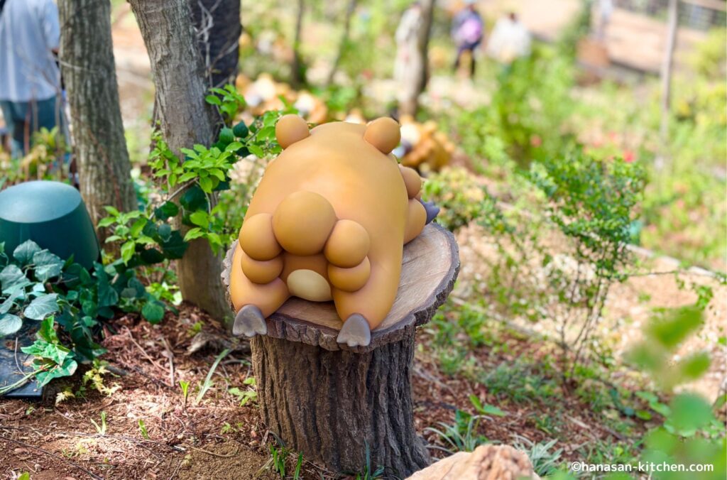 ビッパの後ろ姿