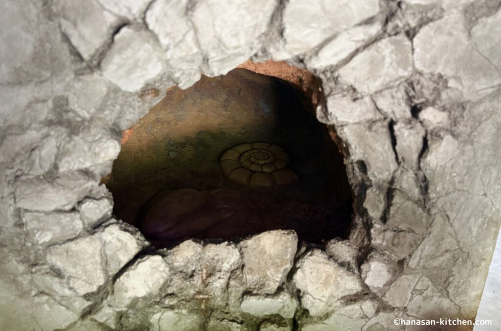 こうらの化石とかいの化石