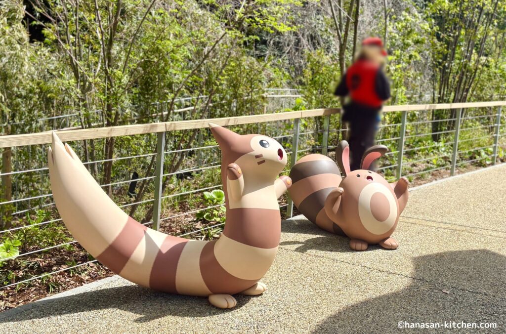 オオタチとオタチ