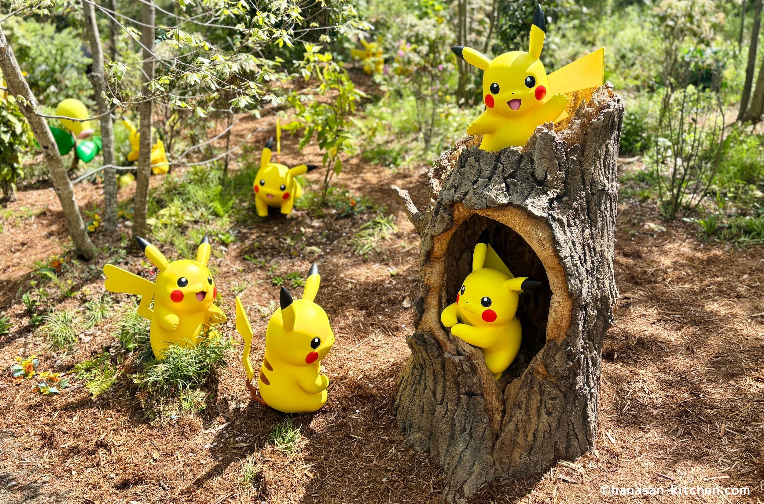 ポケモンフォレストのピカチュウ達